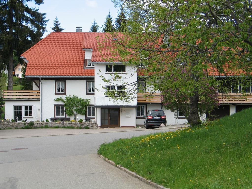 Pension Tannenheim Шлухзее Екстериор снимка