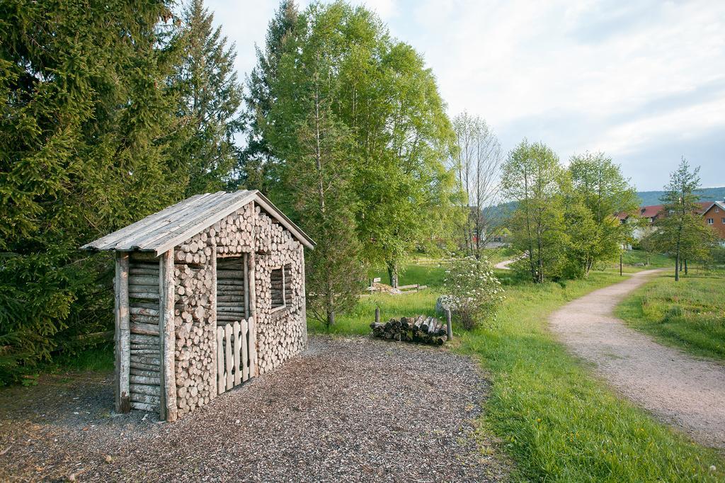 Pension Tannenheim Шлухзее Екстериор снимка