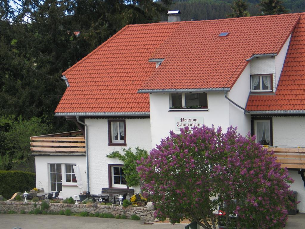 Pension Tannenheim Шлухзее Екстериор снимка