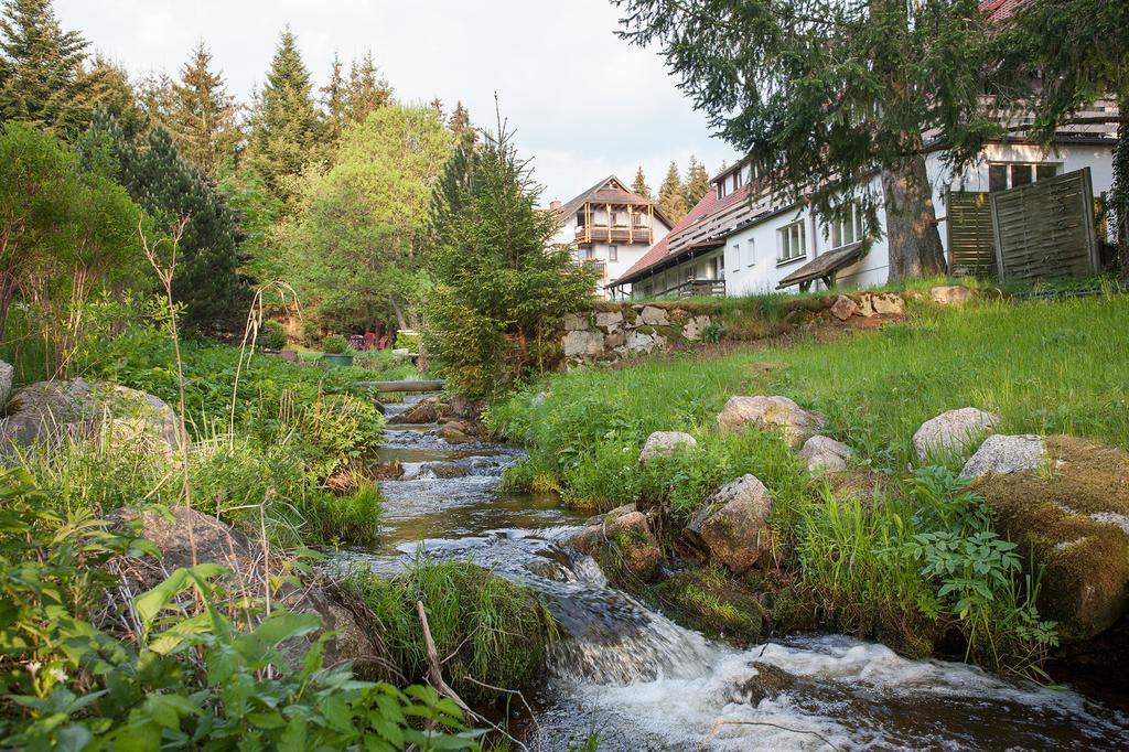 Pension Tannenheim Шлухзее Екстериор снимка